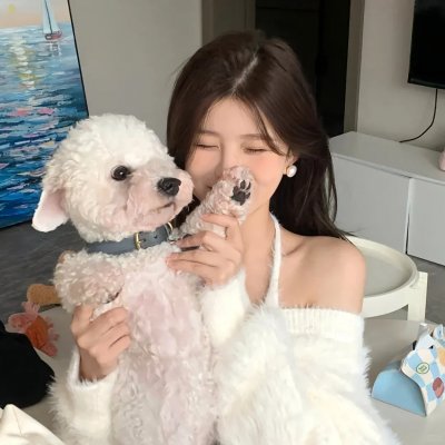 后宫